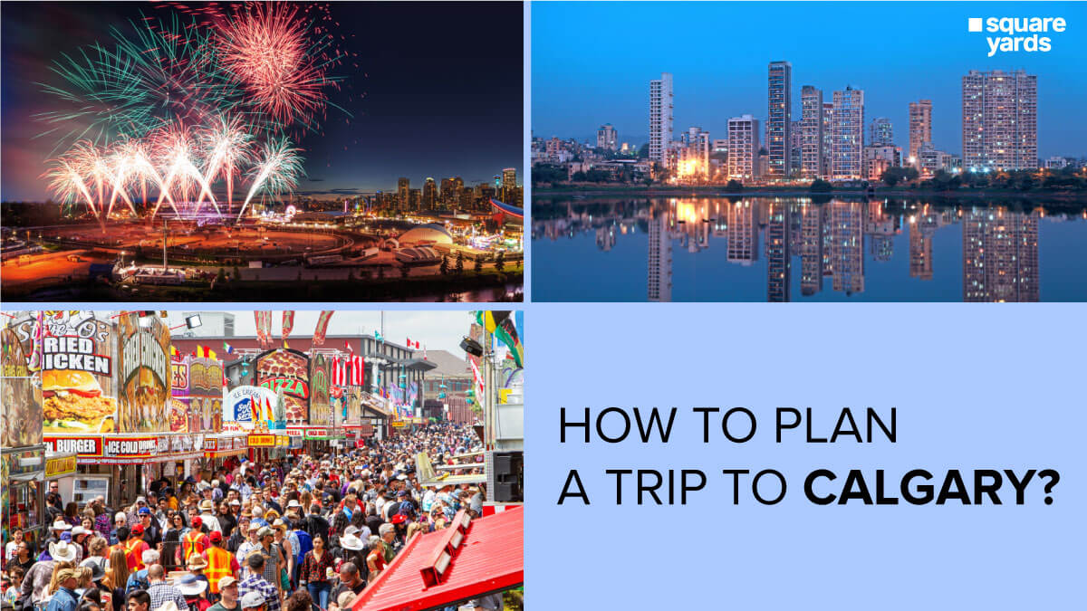 Discover Calgary's Amazing Attractions