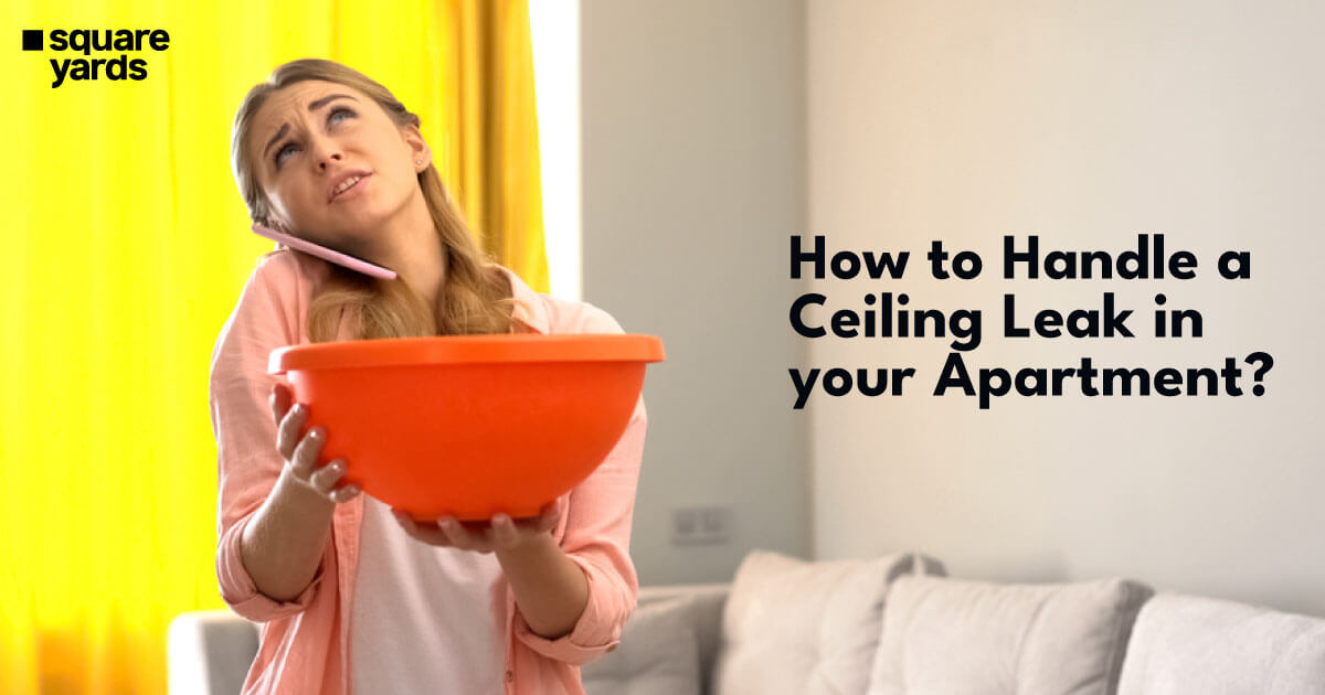 Apartment Ceiling Leaks A Grave Issue to Address