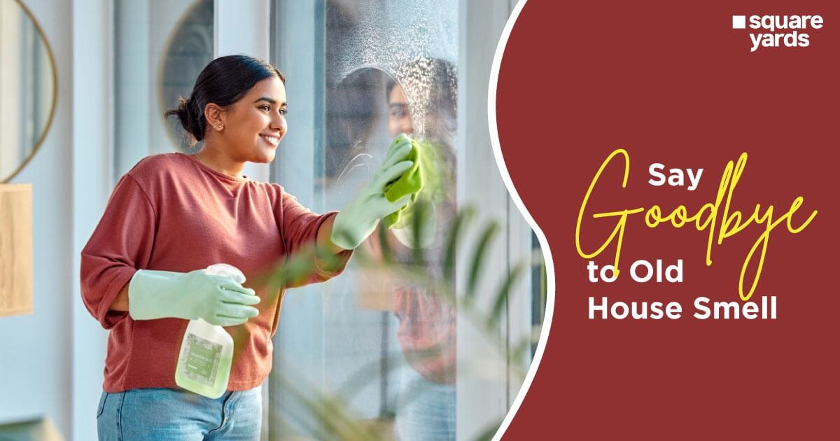How to Say Goodbye to “Old House Smells” and Other Stubborn Odours