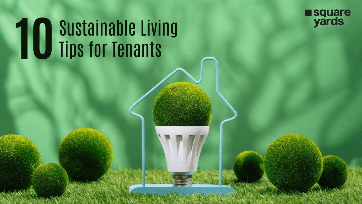 10 Sustainable Living Tips for Tenants in Canada